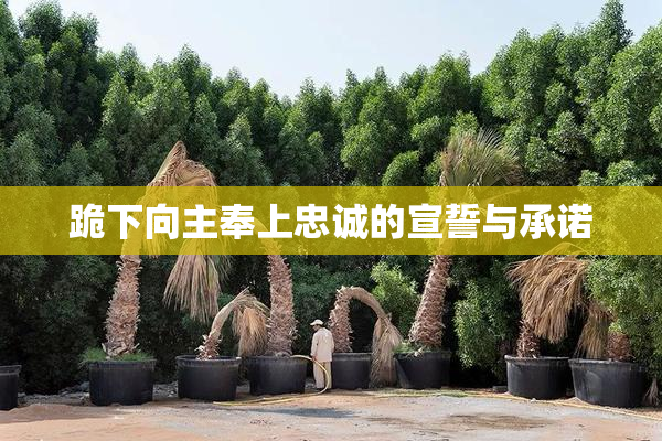 跪下向主奉上忠诚的宣誓与承诺