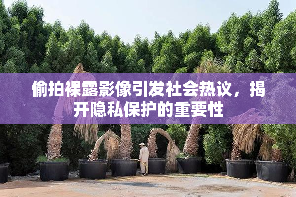 偷拍裸露影像引发社会热议，揭开隐私保护的重要性