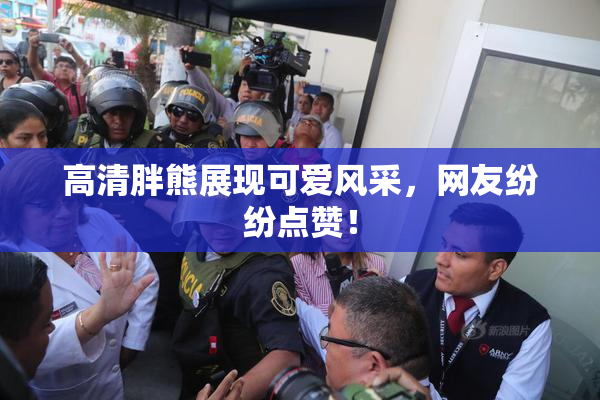 高清胖熊展现可爱风采，网友纷纷点赞！