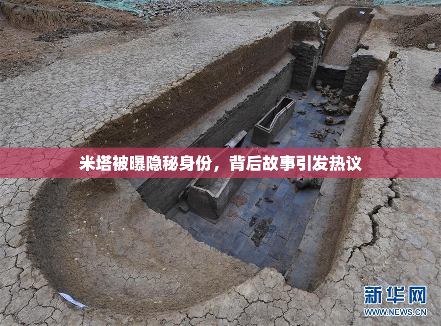 米塔被曝隐秘身份，背后故事引发热议
