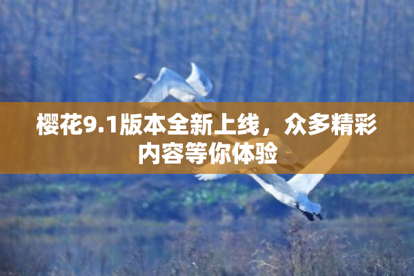 樱花9.1版本全新上线，众多精彩内容等你体验