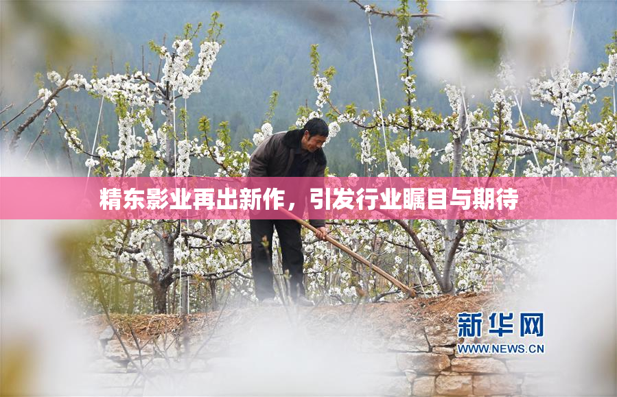 精东影业再出新作，引发行业瞩目与期待
