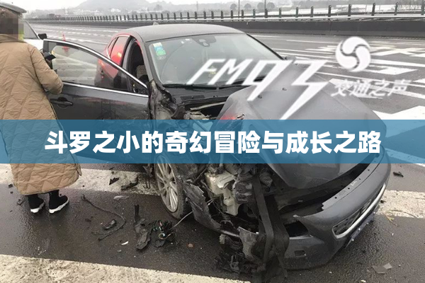 斗罗之小的奇幻冒险与成长之路