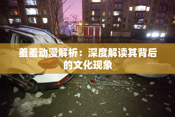 羞羞动漫解析：深度解读其背后的文化现象