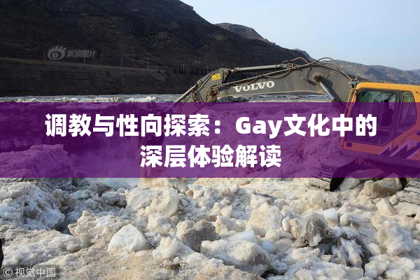 调教与性向探索：Gay文化中的深层体验解读