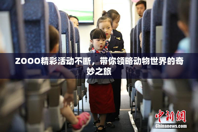 ZOOO精彩活动不断，带你领略动物世界的奇妙之旅