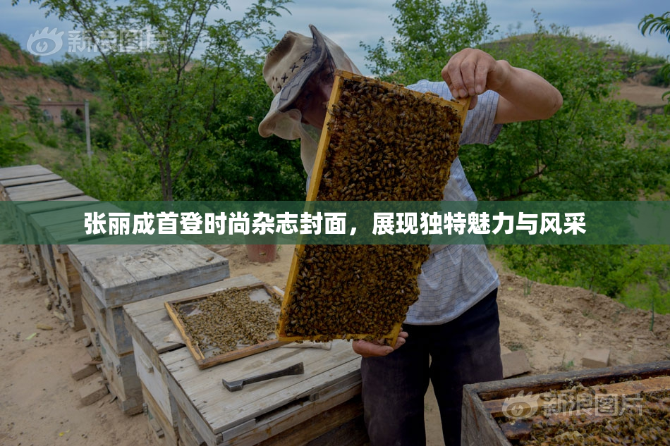 张丽成首登时尚杂志封面，展现独特魅力与风采