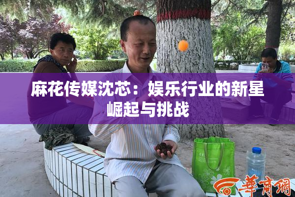 麻花传媒沈芯：娱乐行业的新星崛起与挑战