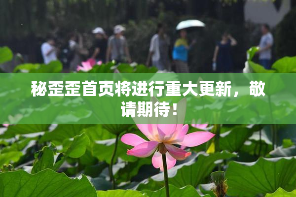 秘歪歪首页将进行重大更新，敬请期待！