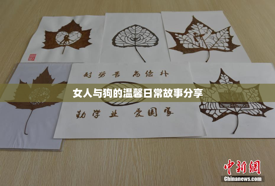 女人与狗的温馨日常故事分享