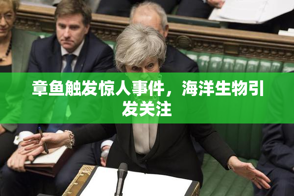 章鱼触发惊人事件，海洋生物引发关注