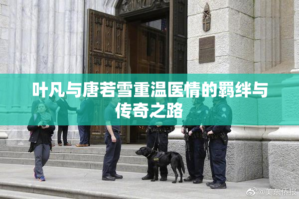 叶凡与唐若雪重温医情的羁绊与传奇之路