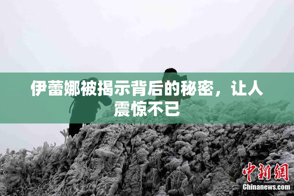 伊蕾娜被揭示背后的秘密，让人震惊不已