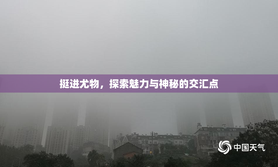 挺进尤物，探索魅力与神秘的交汇点