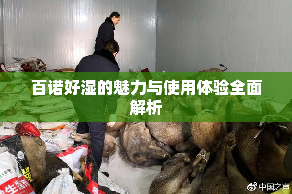 百诺好湿的魅力与使用体验全面解析
