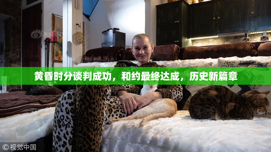 黄昏时分谈判成功，和约最终达成，历史新篇章