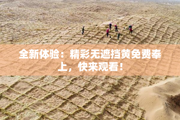 全新体验：精彩无遮挡黄免费奉上，快来观看！