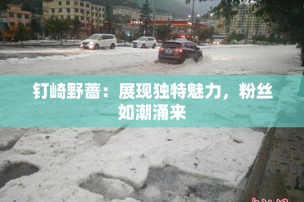 钉崎野蔷：展现独特魅力，粉丝如潮涌来