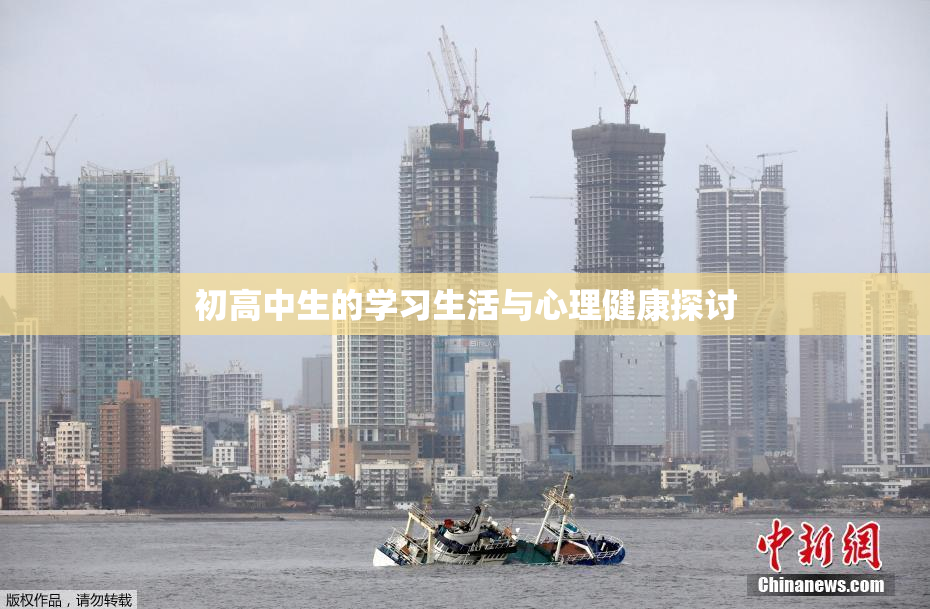 初高中生的学习生活与心理健康探讨