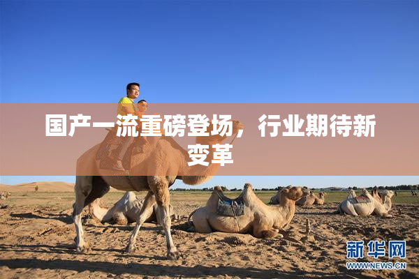 国产一流重磅登场，行业期待新变革