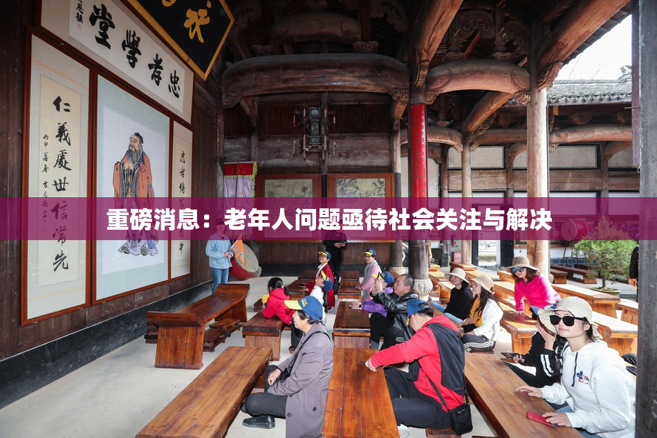 重磅消息：老年人问题亟待社会关注与解决