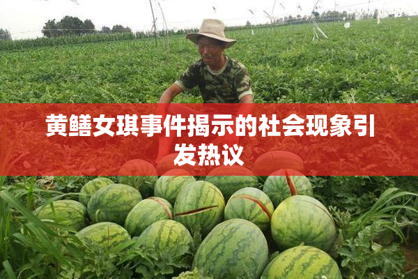 黄鳝女琪事件揭示的社会现象引发热议