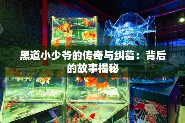 黑道小少爷的传奇与纠葛：背后的故事揭秘