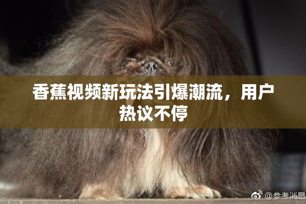 香蕉视频新玩法引爆潮流，用户热议不停