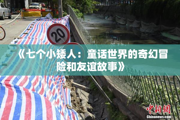 《七个小矮人：童话世界的奇幻冒险和友谊故事》