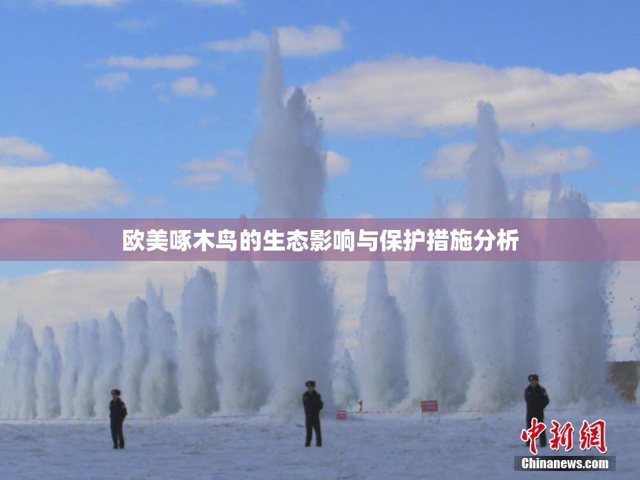 欧美啄木鸟的生态影响与保护措施分析