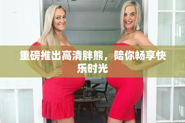 重磅推出高清胖熊，陪你畅享快乐时光