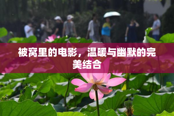 被窝里的电影，温暖与幽默的完美结合