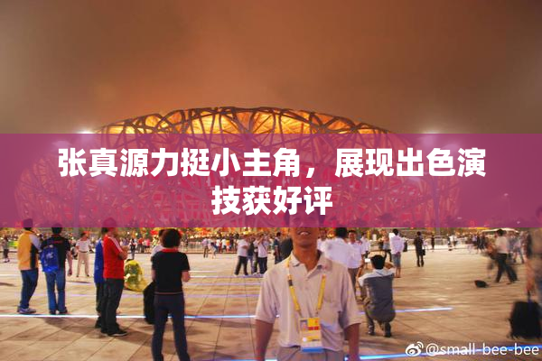 张真源力挺小主角，展现出色演技获好评