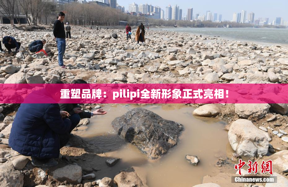 重塑品牌：pilipi全新形象正式亮相！