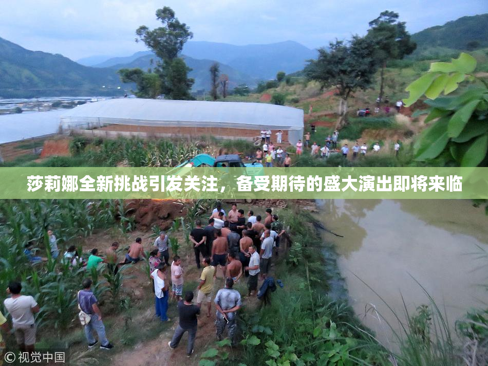 莎莉娜全新挑战引发关注，备受期待的盛大演出即将来临