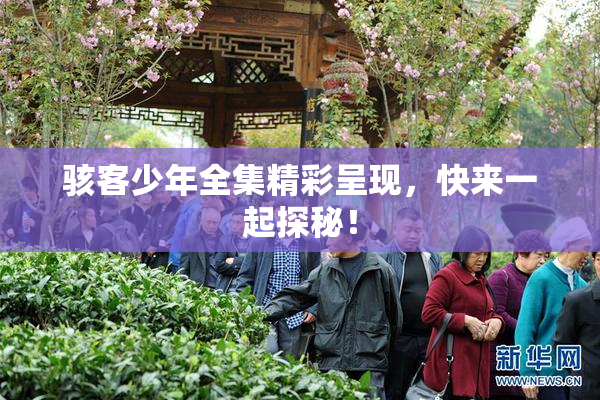 骇客少年全集精彩呈现，快来一起探秘！