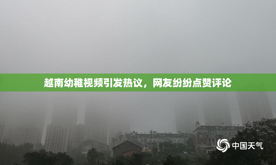 越南幼稚视频引发热议，网友纷纷点赞评论
