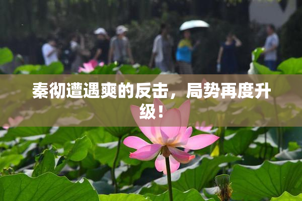 秦彻遭遇爽的反击，局势再度升级！