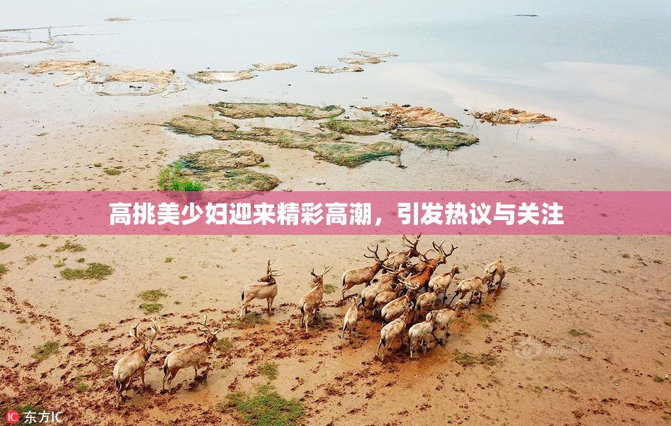 高挑美少妇迎来精彩高潮，引发热议与关注
