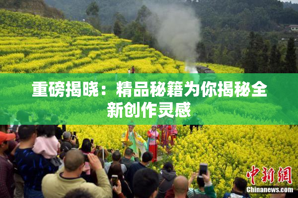 重磅揭晓：精品秘籍为你揭秘全新创作灵感