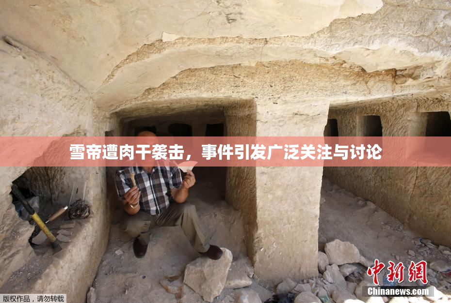 雪帝遭肉干袭击，事件引发广泛关注与讨论