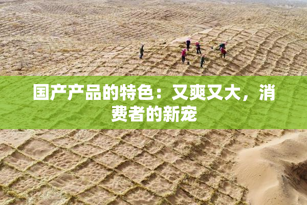 国产产品的特色：又爽又大，消费者的新宠