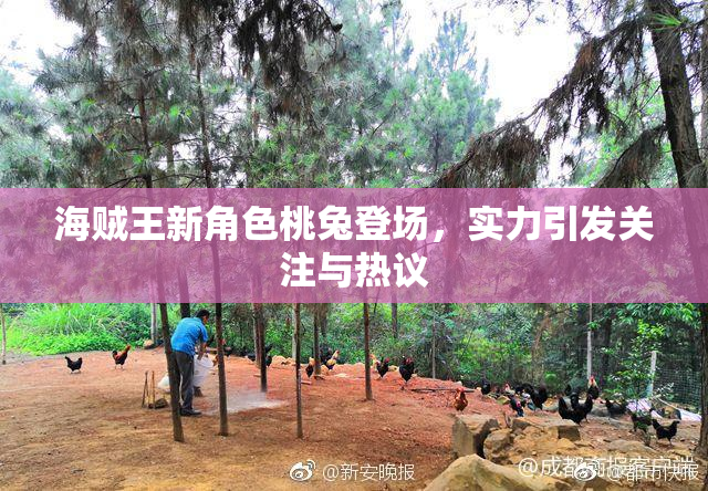 海贼王新角色桃兔登场，实力引发关注与热议
