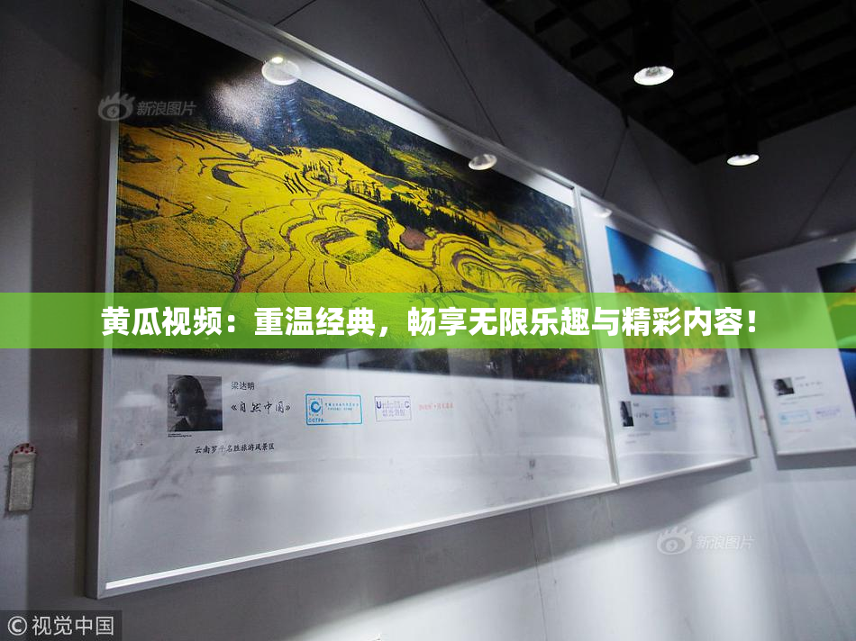 黄瓜视频：重温经典，畅享无限乐趣与精彩内容！
