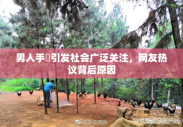 男人手婬引发社会广泛关注，网友热议背后原因