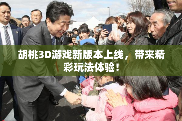 胡桃3D游戏新版本上线，带来精彩玩法体验！