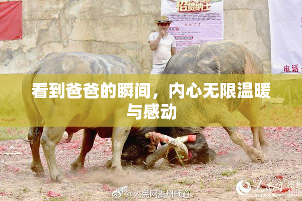 看到爸爸的瞬间，内心无限温暖与感动
