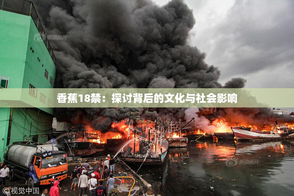 香蕉18禁：探讨背后的文化与社会影响