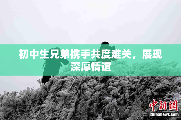 初中生兄弟携手共度难关，展现深厚情谊
