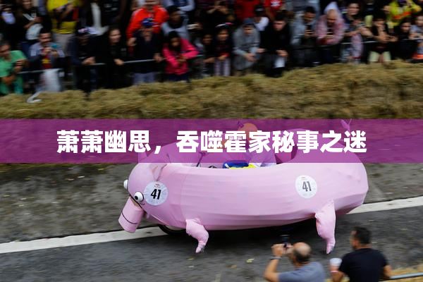 萧萧幽思，吞噬霍家秘事之迷